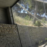 135.jpg