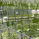 163.jpg