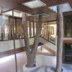 Escario/img_1166.jpg