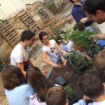 cambio_verde/09