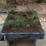 cambio_verde/16.