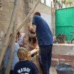 taller2016/5.jpg