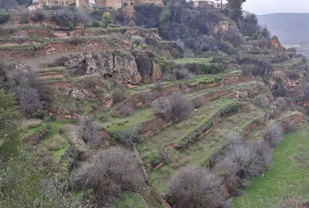 Los agricultores de Letur luchan para salvar sus huertas y regadíos milenarios