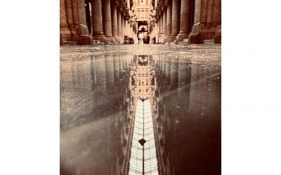 Fallo del XV Concurso de Fotografía «El Espía Público 2025»