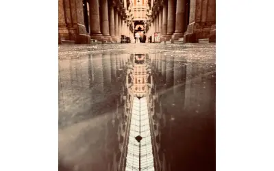 Fallo del XV Concurso de Fotografía «El Espía Público 2025»